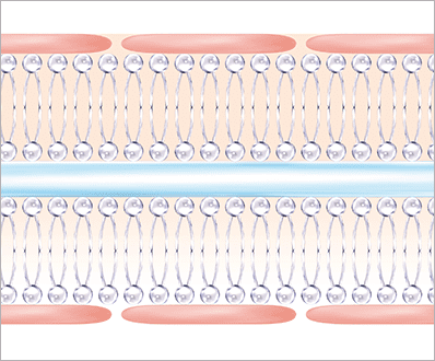 イラスト