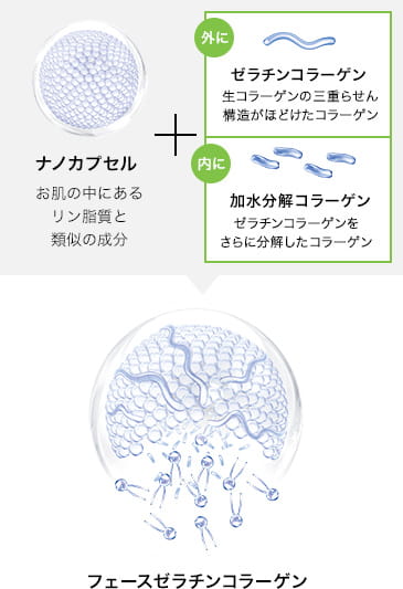 フェースゼラチンコラーゲン