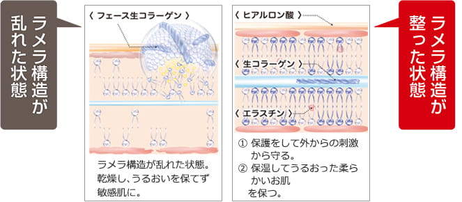 ラメラ構造が乱れた状態図・ラメラ構造が整った状態図