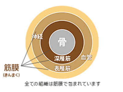 ハイパーノンFクリーム（オプション）｜アロマヒーリング 東京(都度払い)