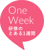 One Week 研修のとある1週間